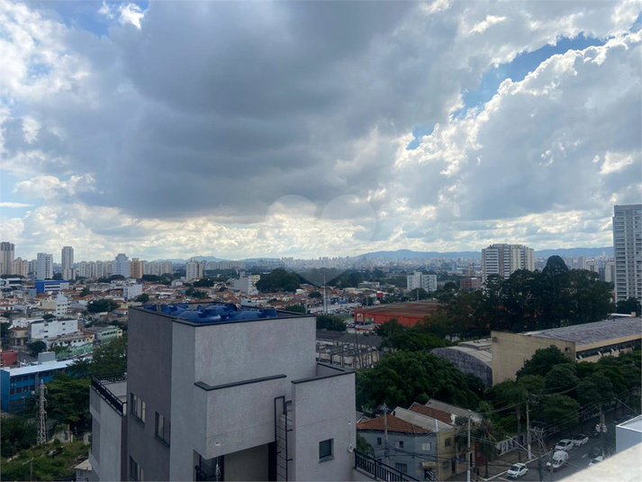 Foto REO1089590