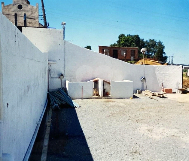 Foto REO1089602
