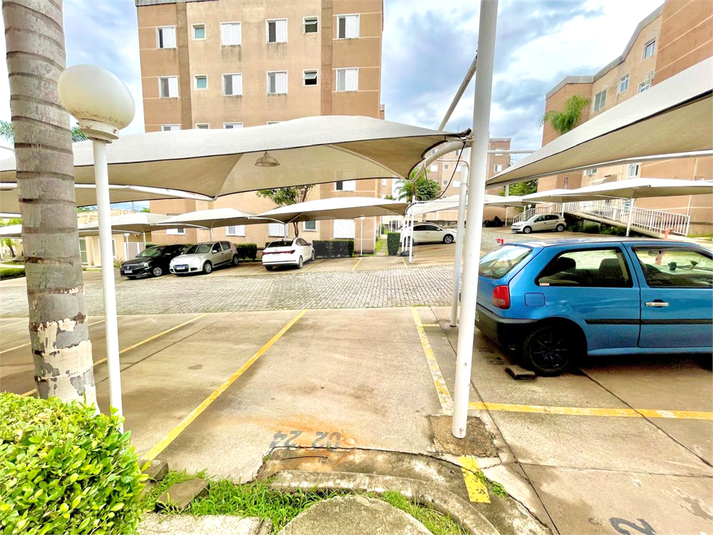 Foto REO1089604