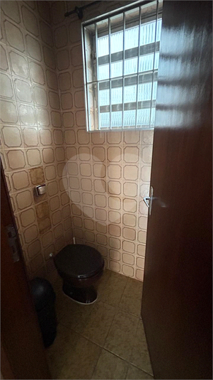 Foto REO1089608