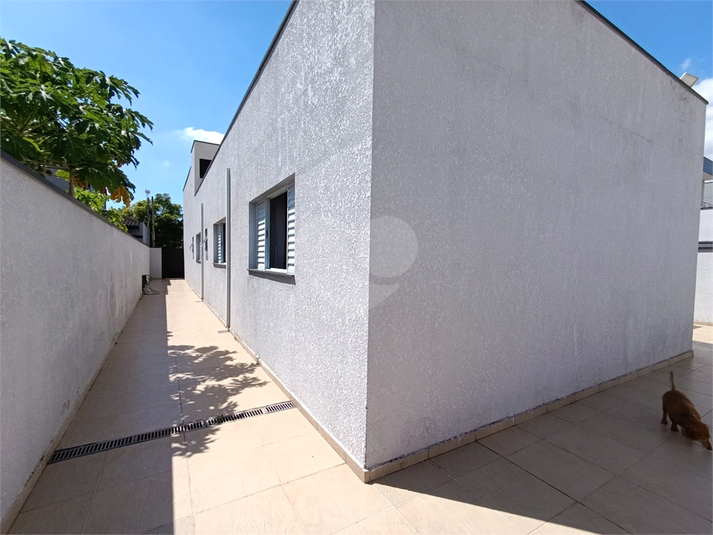 Foto REO1089611