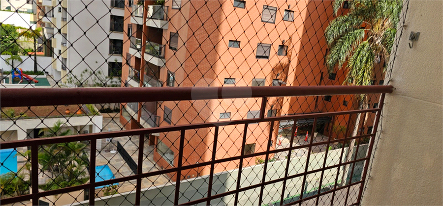 Foto REO1089625