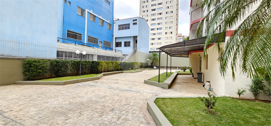 Foto REO1089625