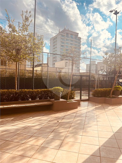 Foto REO1089626