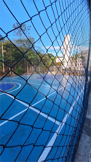 Foto REO1089633
