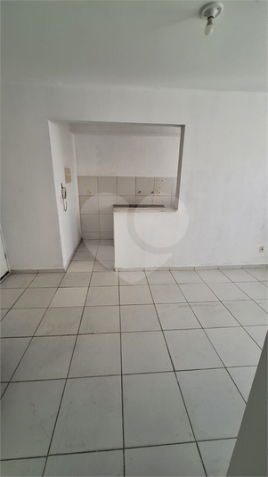 Foto REO1089633