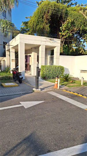 Foto REO1089633