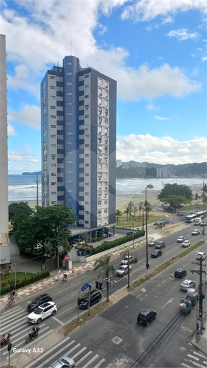 Foto REO1089635