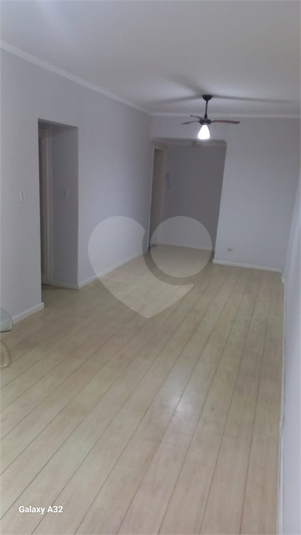 Foto REO1089635