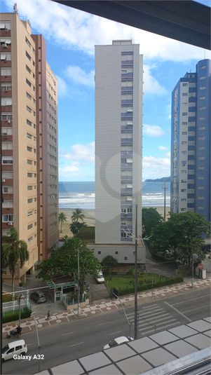 Foto REO1089635