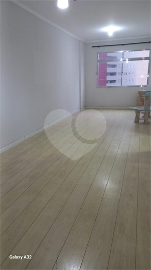 Foto REO1089635
