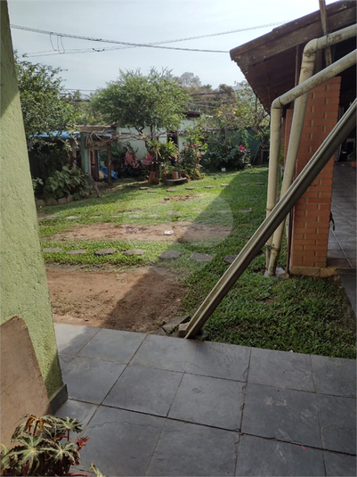 Foto REO1089646