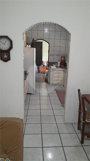 Foto REO1089646