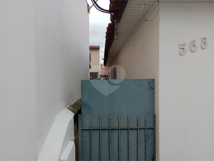 Foto REO1089648