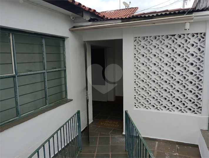 Foto REO1089648