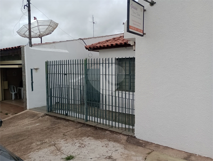Foto REO1089648