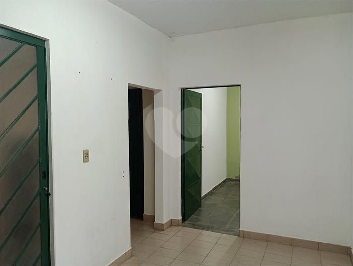 Foto REO1089648