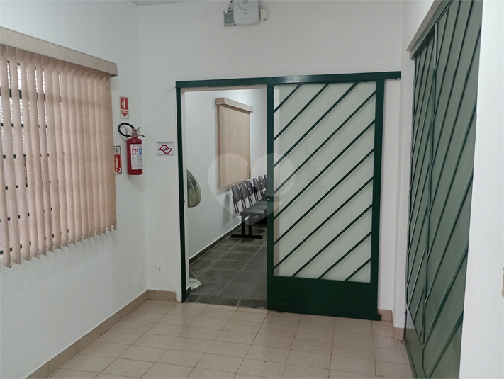 Foto REO1089648