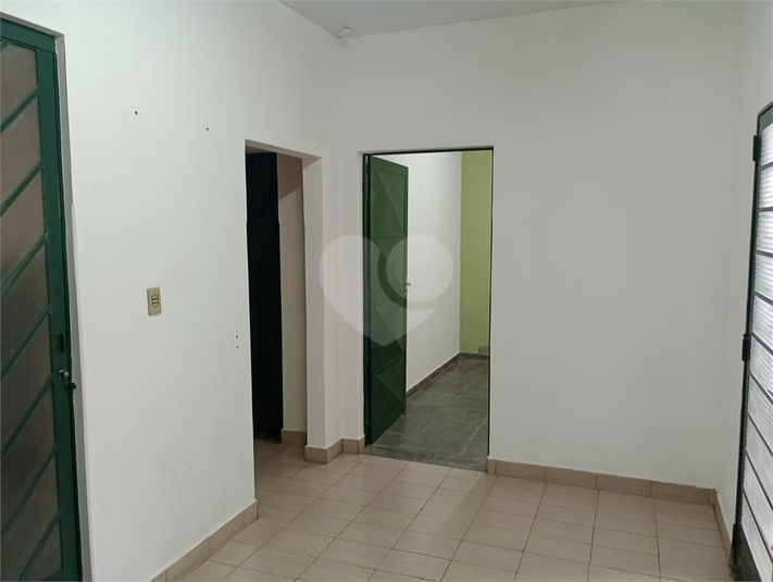 Foto REO1089648