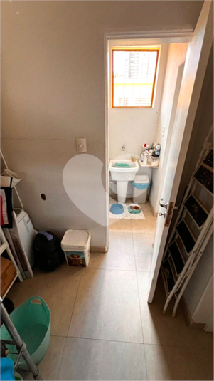 Foto REO1089650