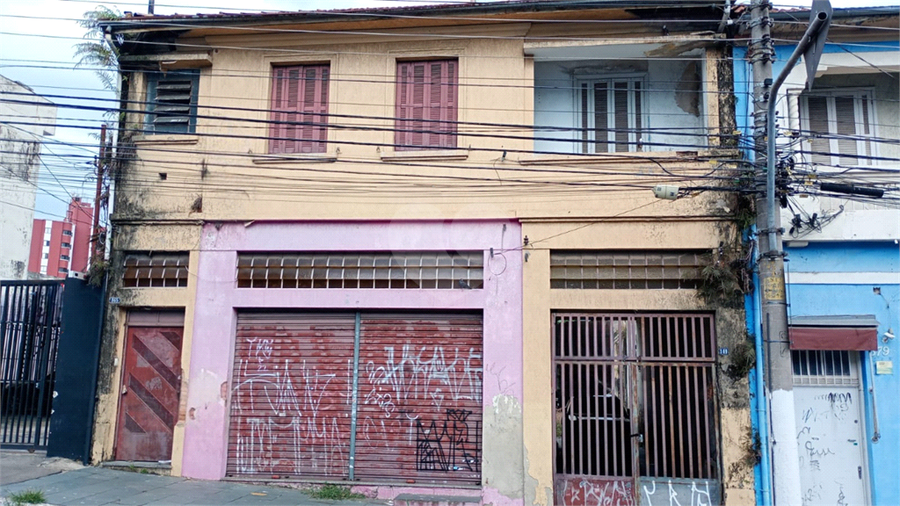 Foto REO1089652