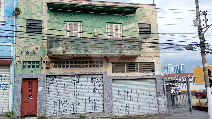 Foto REO1089652