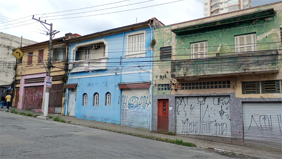 Foto REO1089652