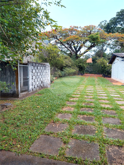 Foto REO1089656