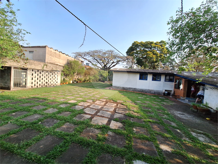 Foto REO1089656