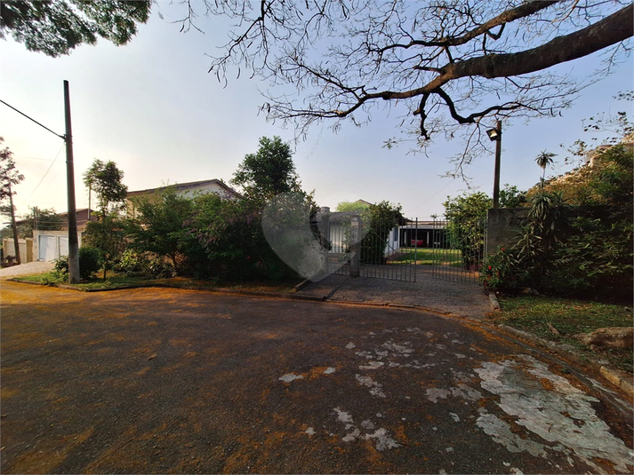 Foto REO1089656