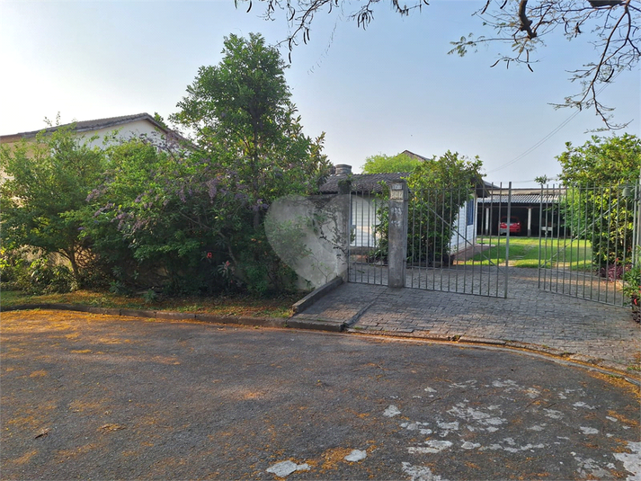Foto REO1089656