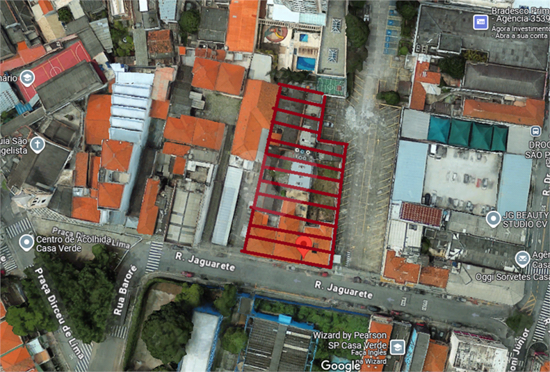Foto REO1089668