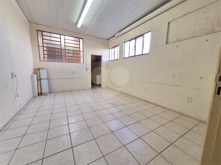 Foto REO1089669