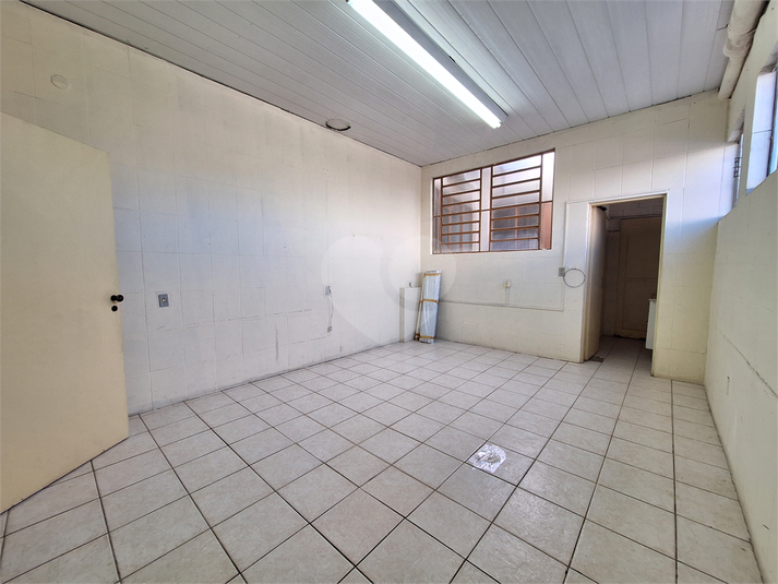 Foto REO1089669