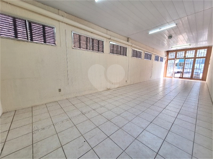 Foto REO1089669