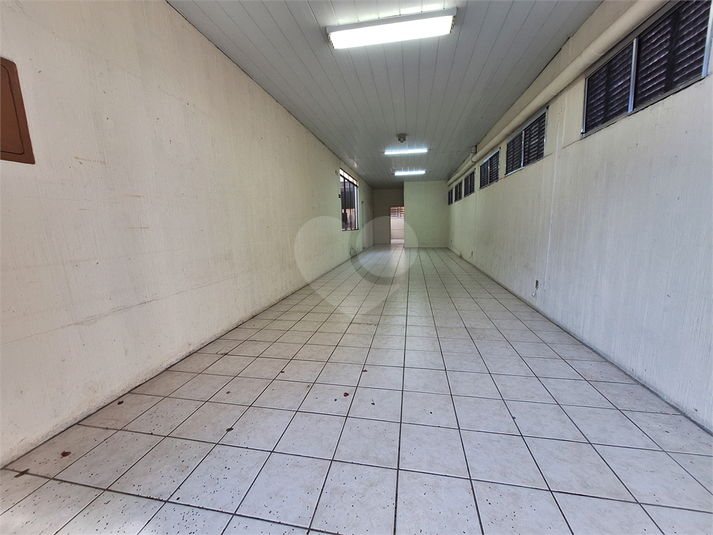 Foto REO1089669