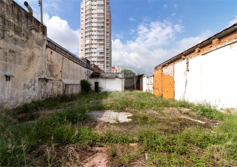 Foto REO1089671