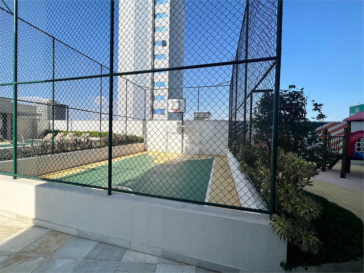Foto REO1089672