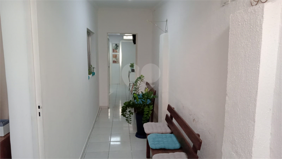 Foto REO1089678