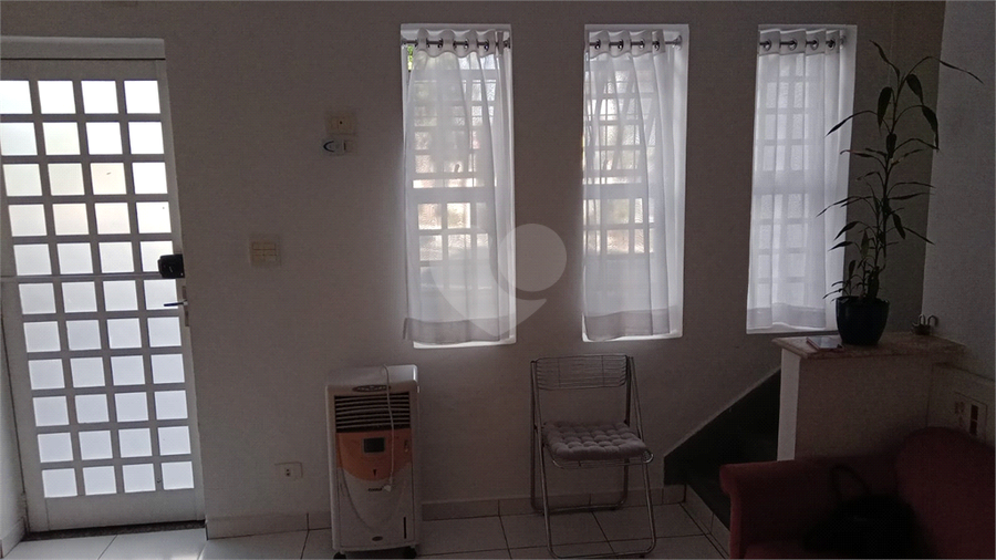 Foto REO1089678