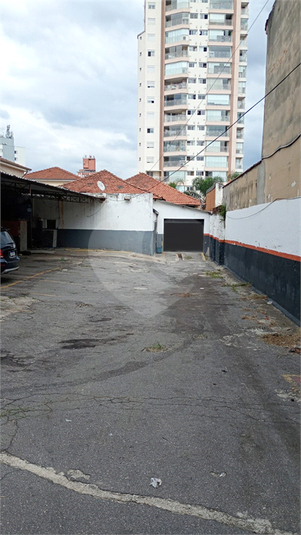 Foto REO1089693