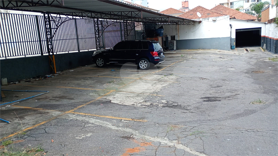 Foto REO1089693