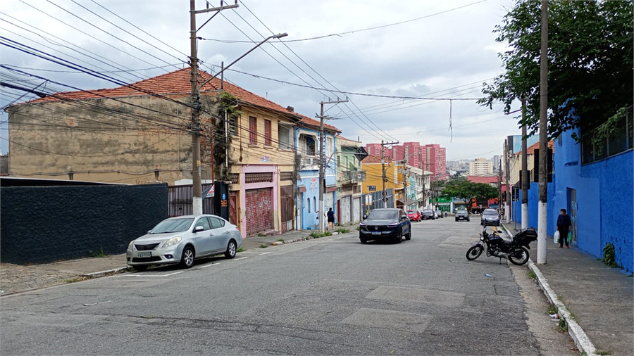 Foto REO1089693