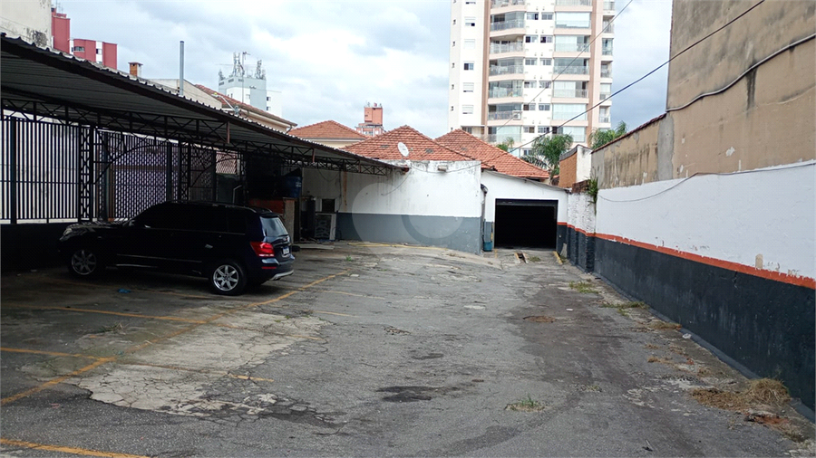 Foto REO1089693