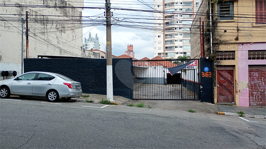 Foto REO1089693