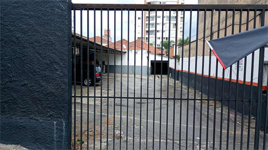 Foto REO1089693