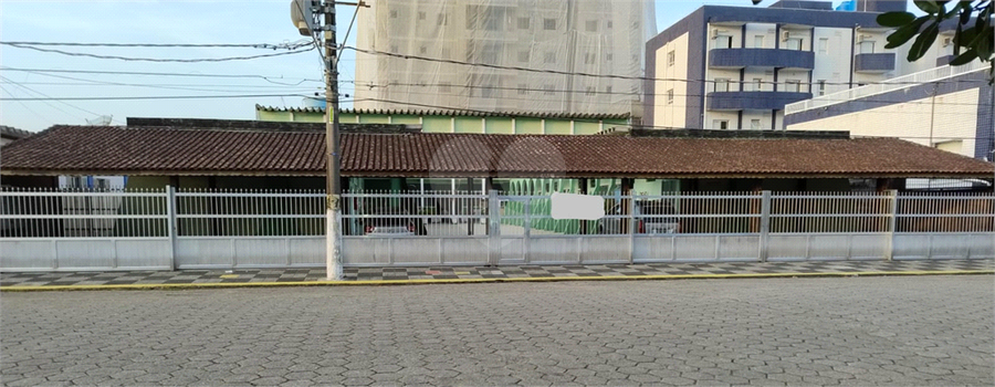 Foto REO1089694