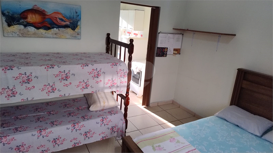 Foto REO1089694