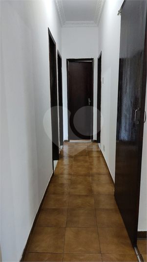 Foto REO1089696