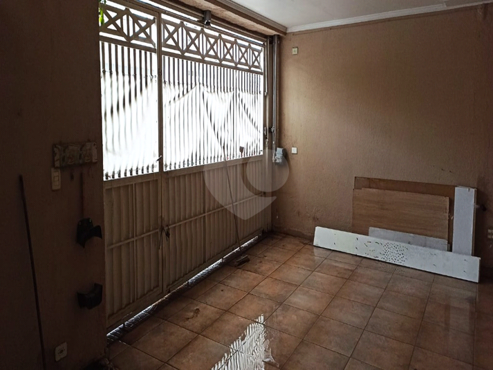 Foto REO1089699